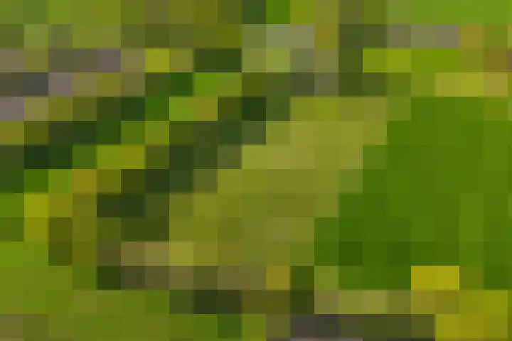 Baarsweg 4 Baars thumbnail 44