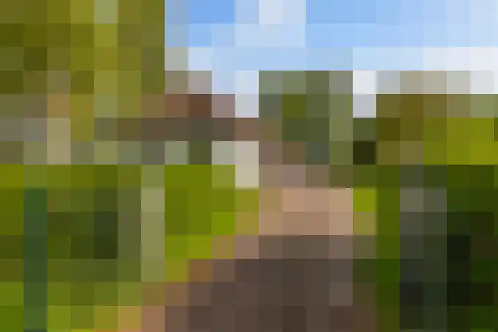 Baarsweg 4 Baars thumbnail 45