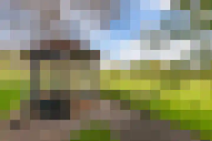 Baarsweg 4 Baars thumbnail 48
