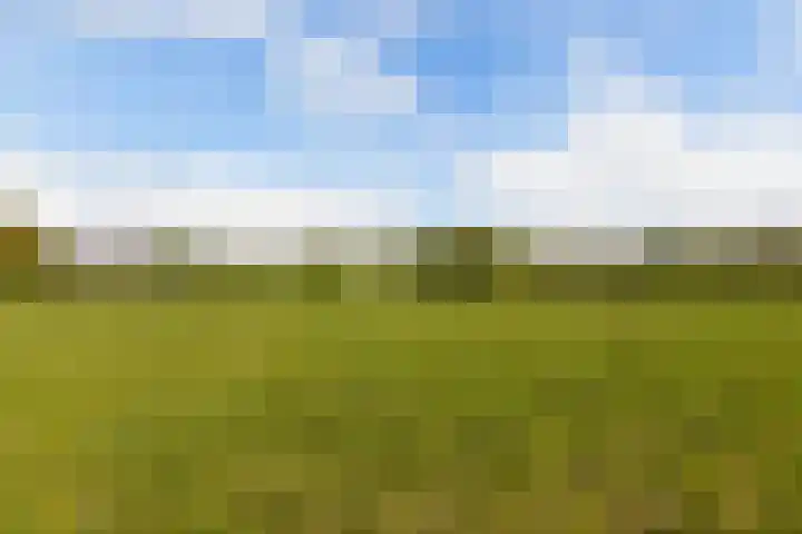 Baarsweg 4 Baars thumbnail 49