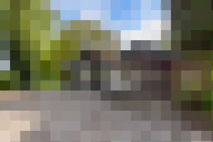 Baarsweg 4 Baars thumbnail 53