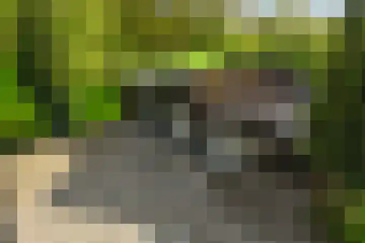 Baarsweg 4 Baars thumbnail 54