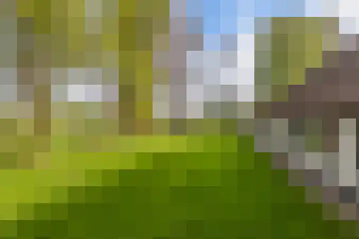 Baarsweg 4 Baars thumbnail 55