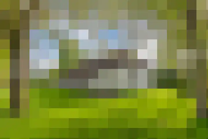 Baarsweg 4 Baars thumbnail 56