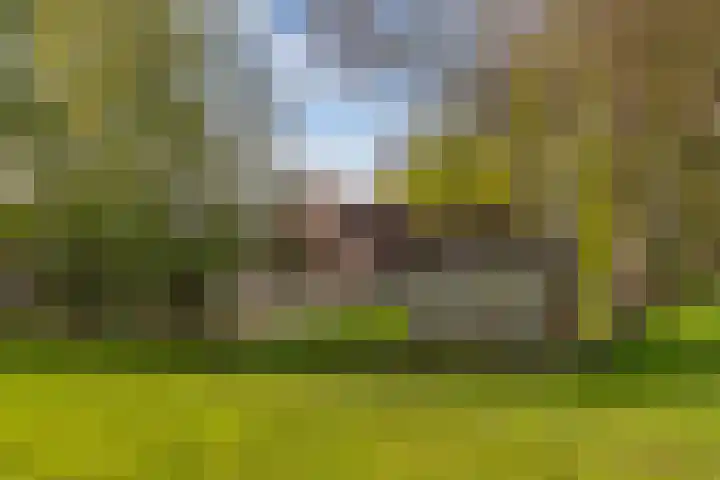 Baarsweg 4 Baars thumbnail 58