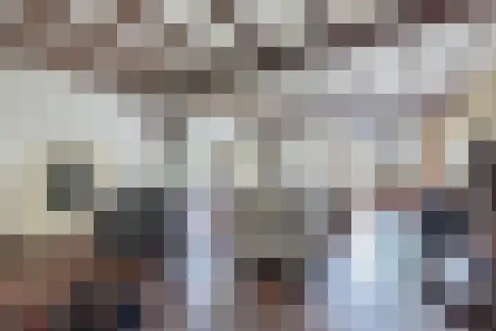 Baarsweg 4 Baars thumbnail 7
