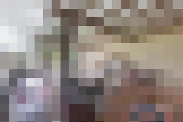 Baarsweg 4 Baars thumbnail 8