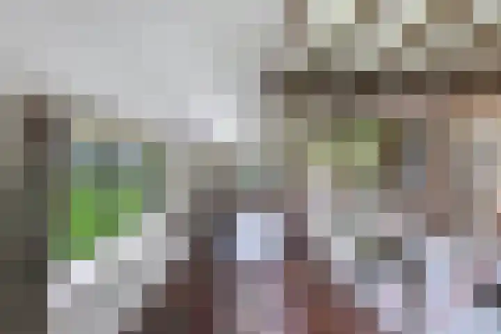 Baarsweg 4 Baars thumbnail 9