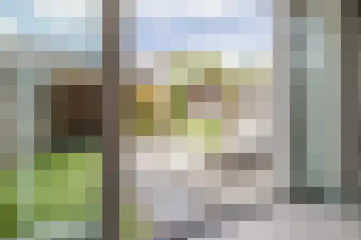 Baas en Domburgstraat 85 Bodegraven thumbnail 15