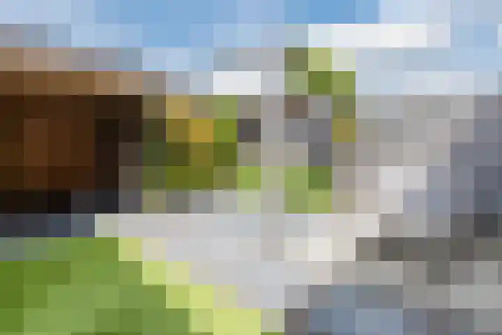 Baas en Domburgstraat 85 Bodegraven thumbnail 47