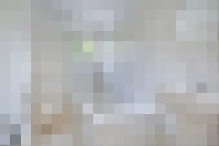 Office photo of Babs Persoons