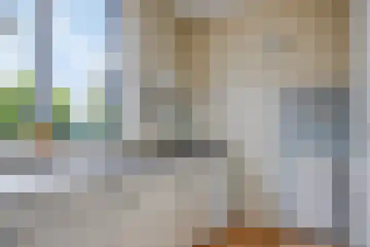 Babsloot 38 Boskoop thumbnail 11