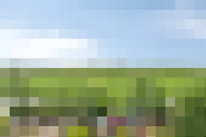 Babsloot 38 Boskoop thumbnail 22