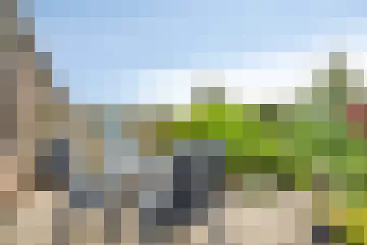 Babsloot 38 Boskoop thumbnail 26