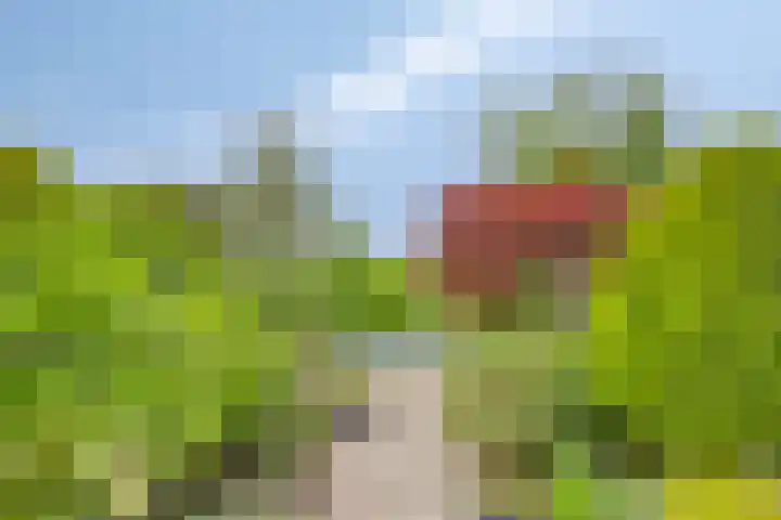 Babsloot 38 Boskoop thumbnail 27