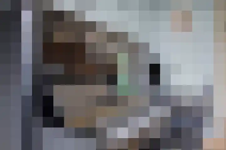 Babsloot 38 Boskoop thumbnail 9