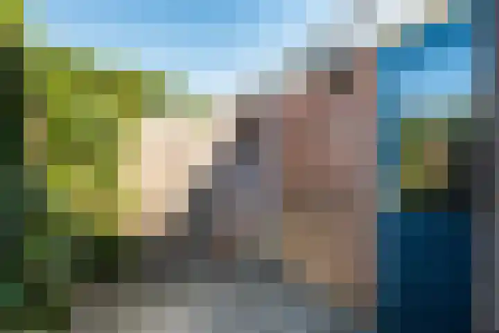 Bacchus 58 Wijk bij Duurstede thumbnail 18