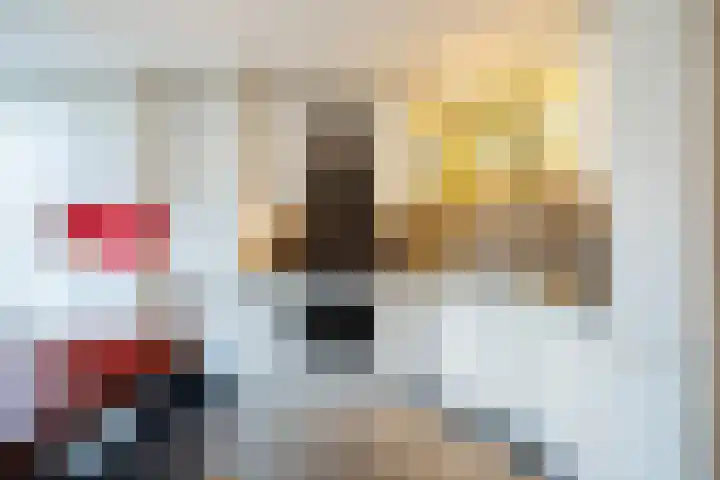 Bacchus 58 Wijk bij Duurstede thumbnail 20