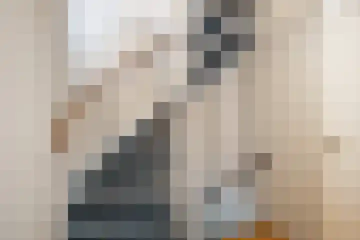 Bacchus 58 Wijk bij Duurstede thumbnail 29