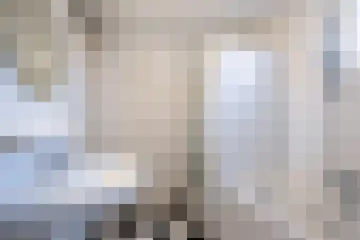 Bacchus 58 Wijk bij Duurstede thumbnail 38