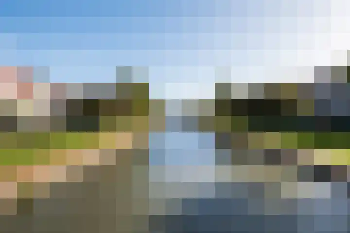 Bacchus 58 Wijk bij Duurstede thumbnail 51