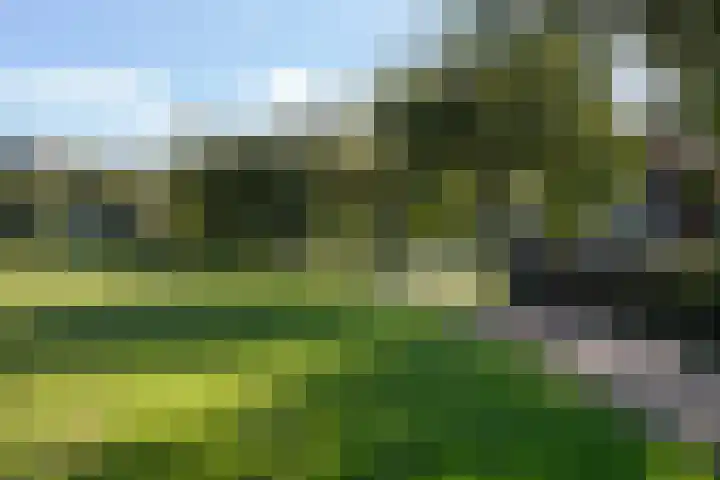 Bacchus 58 Wijk bij Duurstede thumbnail 54