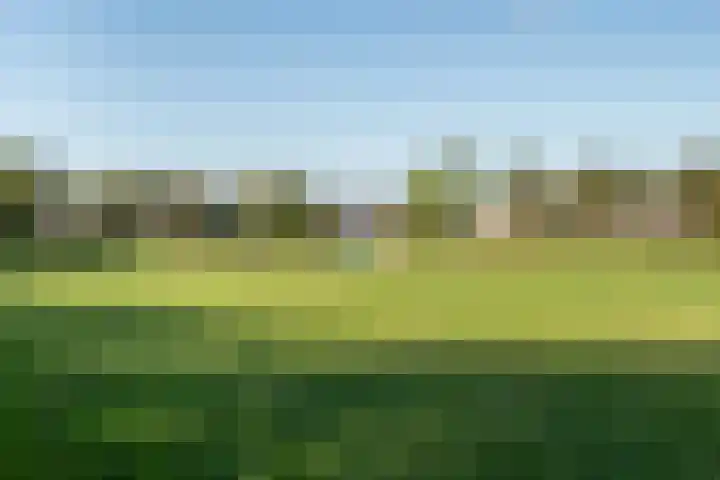 Bacchus 58 Wijk bij Duurstede thumbnail 57