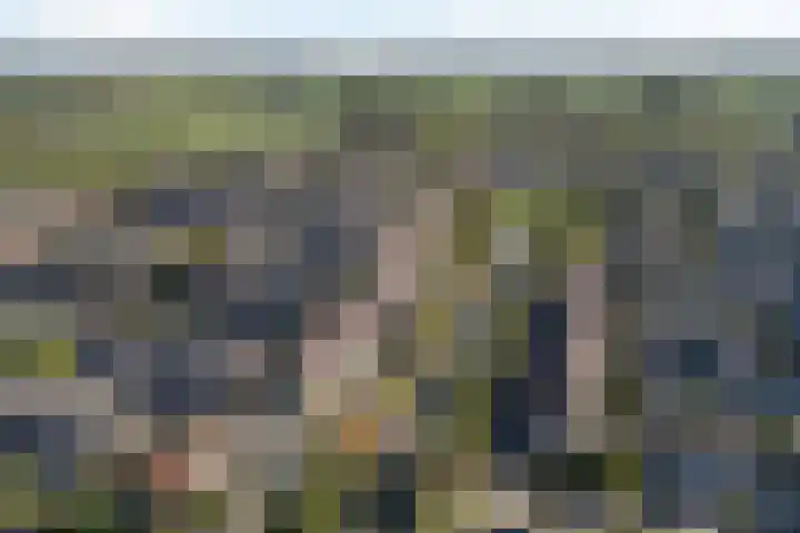 Bacchus 58 Wijk bij Duurstede thumbnail 59