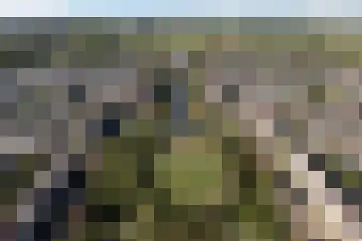 Bacchus 58 Wijk bij Duurstede thumbnail 62