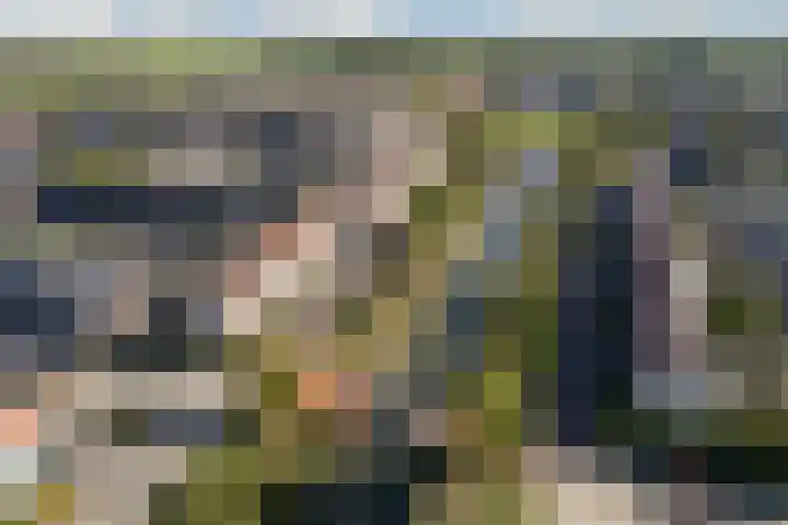 Bacchus 58 Wijk bij Duurstede thumbnail 64