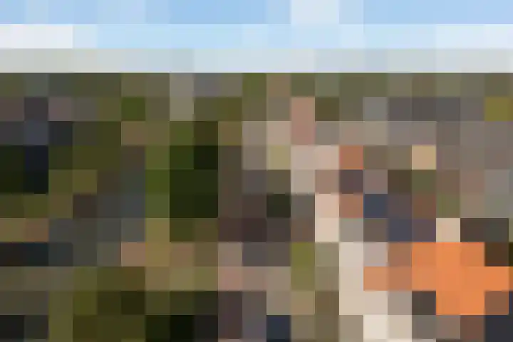 Bacchus 58 Wijk bij Duurstede thumbnail 66