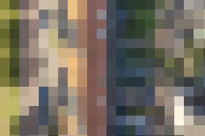 Bacchus 58 Wijk bij Duurstede thumbnail 68