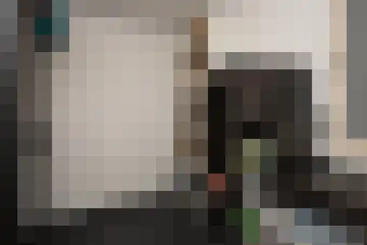 Bachdreef 69 Harderwijk thumbnail 12