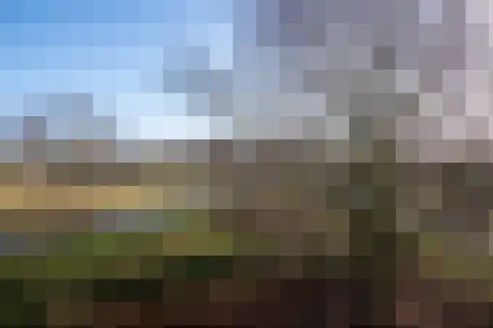 Bachdreef 69 Harderwijk thumbnail 14