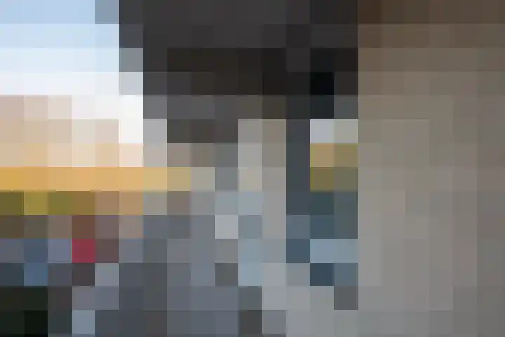 Bachdreef 69 Harderwijk thumbnail 16