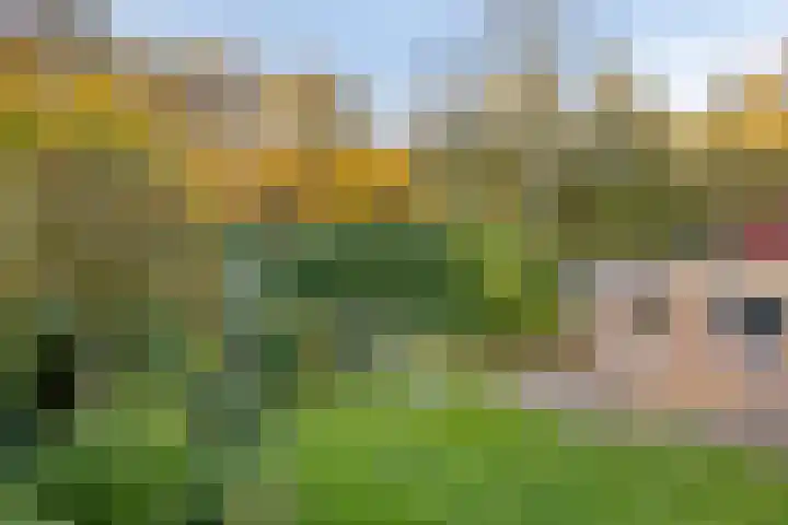 Bachlaan 10 Helmond thumbnail 37