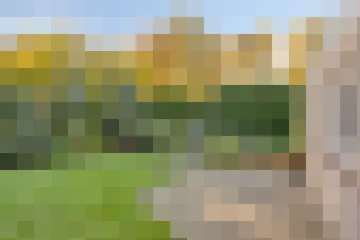 Bachlaan 10 Helmond thumbnail 38