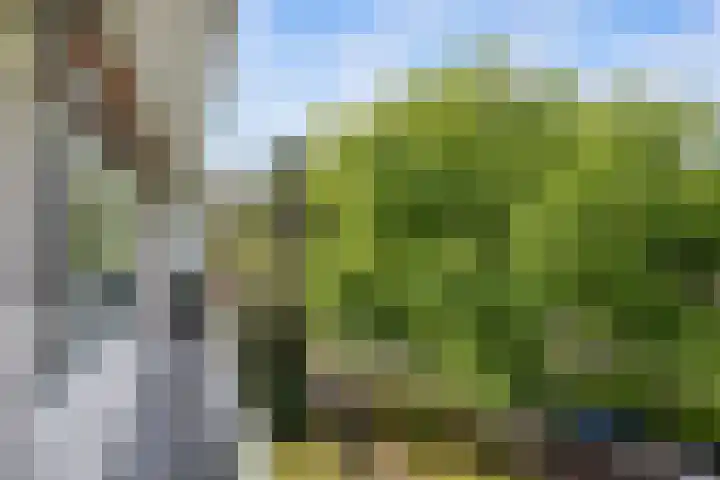 Bachlaan 102 Rotterdam thumbnail 14
