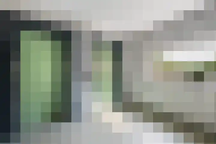 Bachlaan 102 Rotterdam thumbnail 18