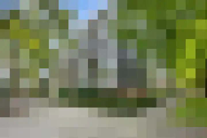 Bachlaan 102 Rotterdam thumbnail 19