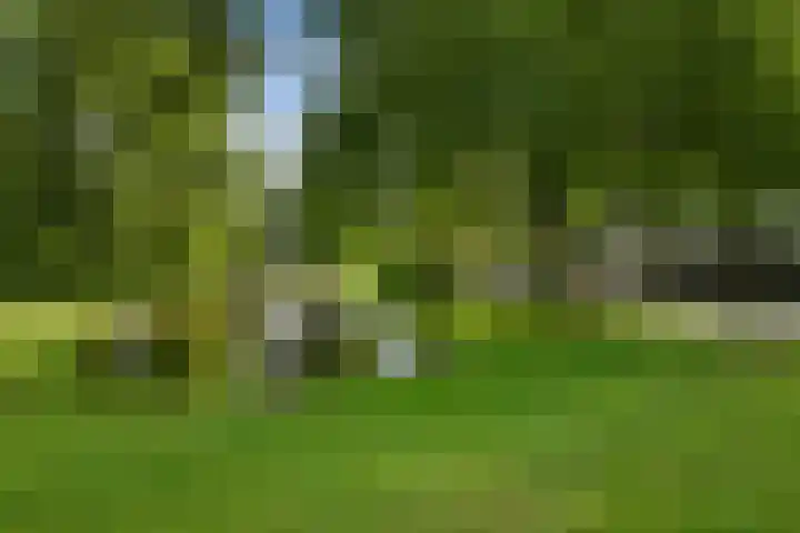 Bachlaan 102 Rotterdam thumbnail 20
