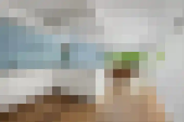 Bachlaan 102 Rotterdam thumbnail 23