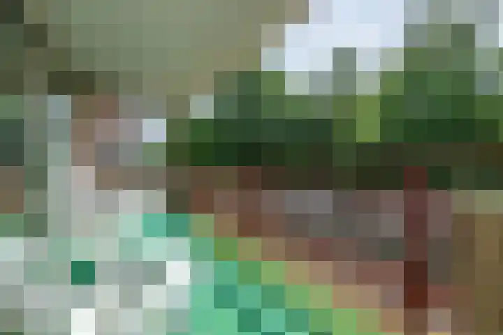 Bachlaan 137 Zeist thumbnail 14