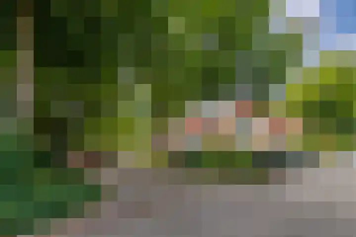 Bachlaan 137 Zeist thumbnail 24
