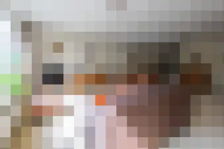 Bachlaan 137 Zeist thumbnail 6