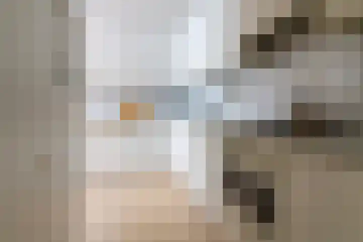 Bachlaan 137 Zeist thumbnail 9