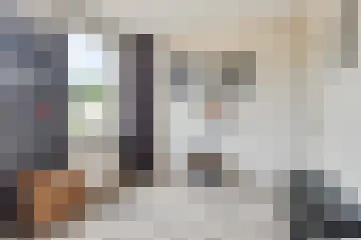 Bachlaan 16 Heesch thumbnail 22
