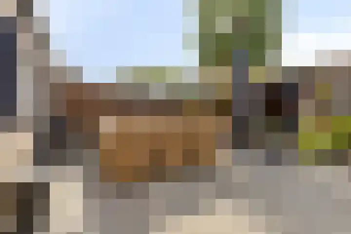 Bachlaan 16 Heesch thumbnail 28
