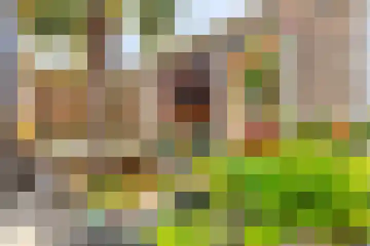 Bachlaan 16 Heesch thumbnail 30