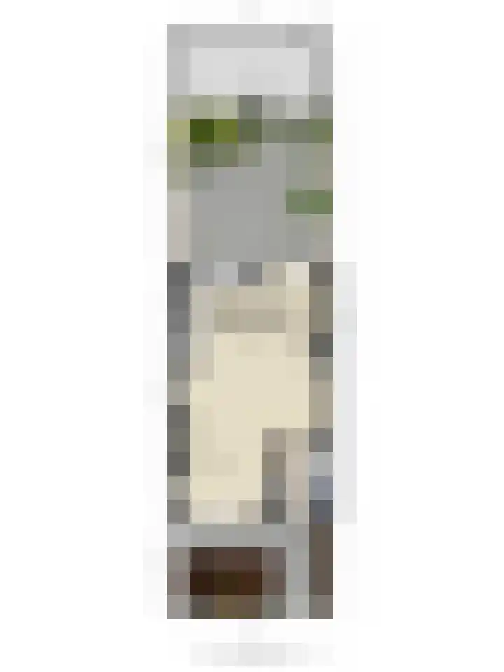 Bachlaan 16 Heesch thumbnail 35